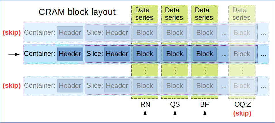 CRAM block layout diagram showing containers with header slices and data blocks for read name, query score, base flags, and other fields, with skipped containers shown in gray