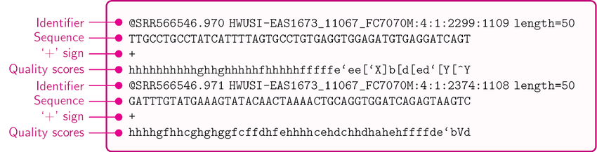 Annotated FASTQ file showing two read records with identifier, sequence, plus sign separator, and quality score lines labeled