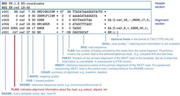 Annotated SAM file format showing header section and alignment section with labeled fields including QNAME, FLAG, RNAME, POS, MAPQ, CIGAR, RNEXT, PNEXT, TLEN, SEQ, and QUAL
