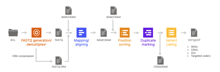 Bioinformatics pipeline flowchart from BCL sequencer output through FASTQ generation and demultiplexing, mapping and aligning, position sorting, duplicate marking, and variant calling to produce VCF/gVCF files containing SNVs, CNVs, SVs, and targeted variants
